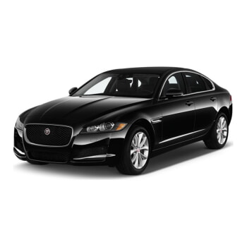 XF All New (12-...)