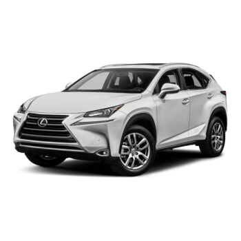 NX (14-17)