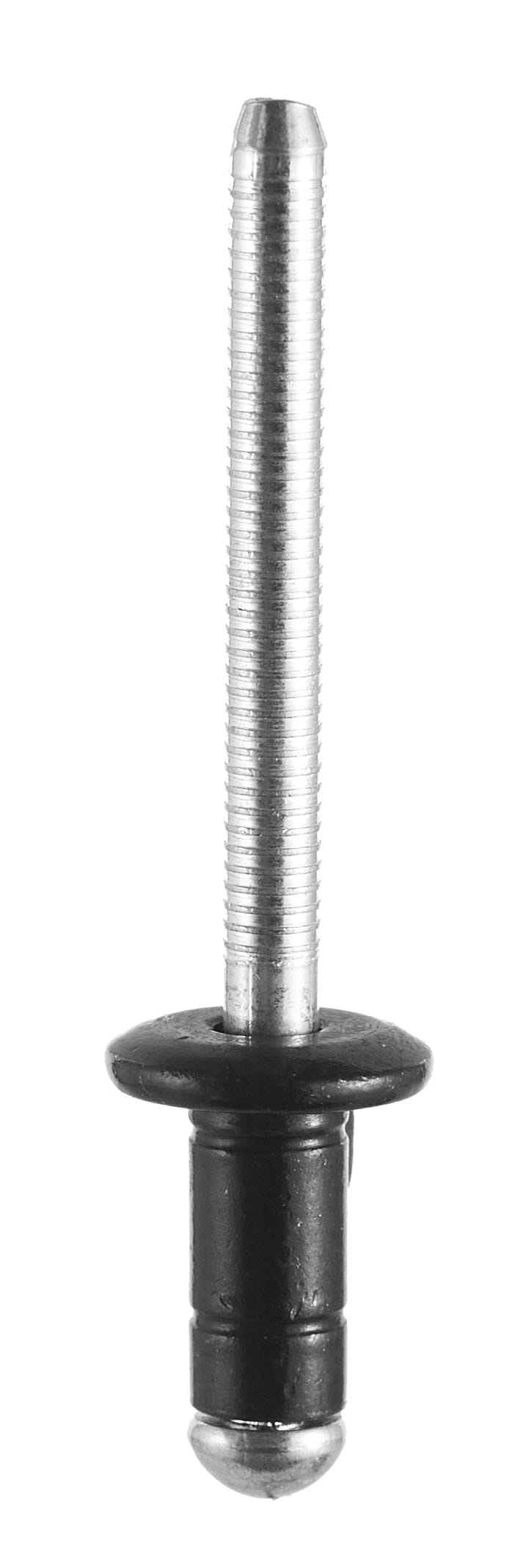 25254